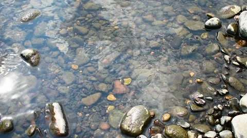 River pebbles under clean transparent water Stock Footage 139203724