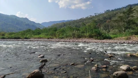 River in Peru with trees, shore and mountains. 動画素材 282219314
