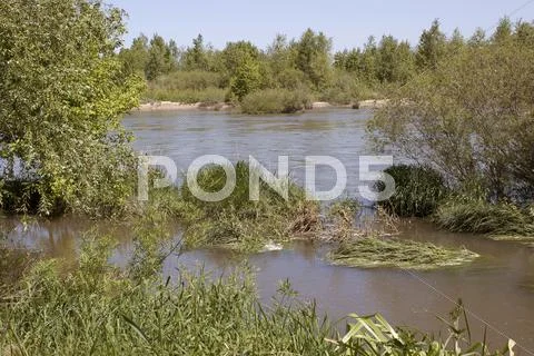 River Stock Photos