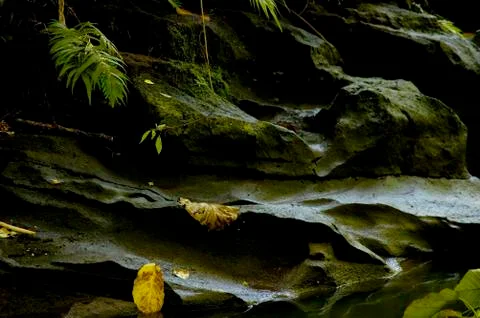 River Stock Photos