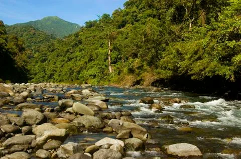 River Foto stock