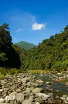 River Foto stock