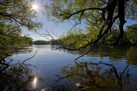 River Stock Photos