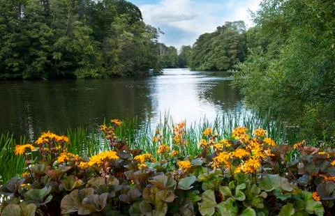 River Stock Photos