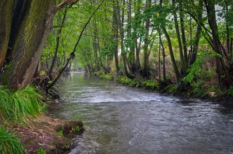 River Stock Photos