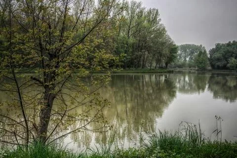 By the River Stock Photos