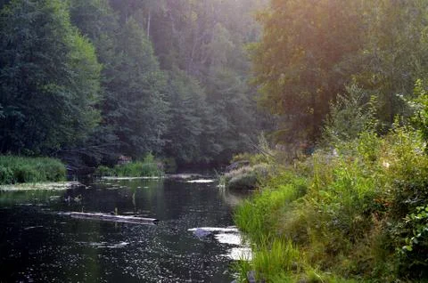 River Stock Photos