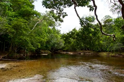 River Stock Photos