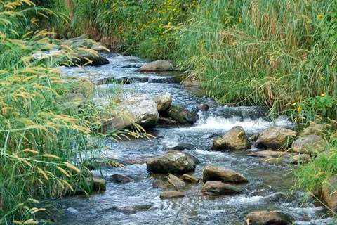 The river Stock Photos