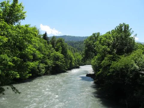 The river Stockfoto's