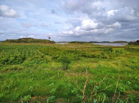 River.  Stock Photos