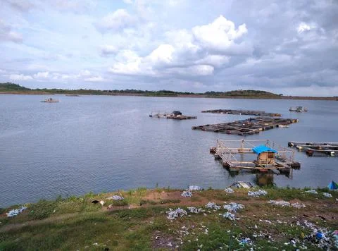 River.  Stock Photos