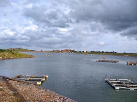 River.  Stock Photos