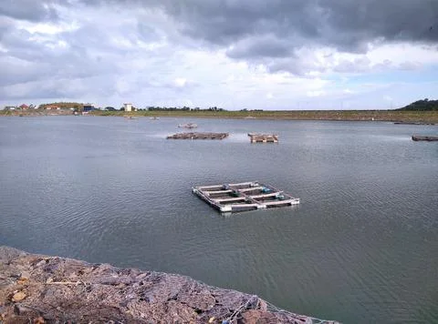 River.  Stock Photos