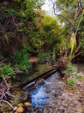 River Stock Photos