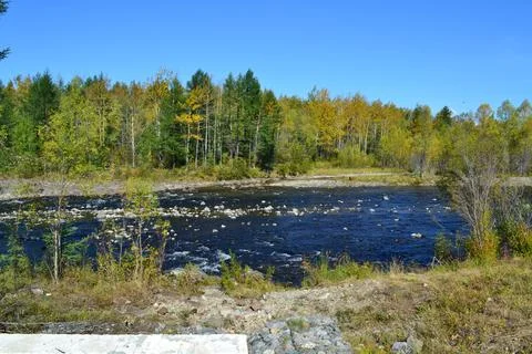 River Foto stock