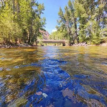 In the river Stock Photos