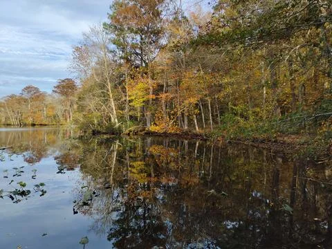 Up River 스톡 사진
