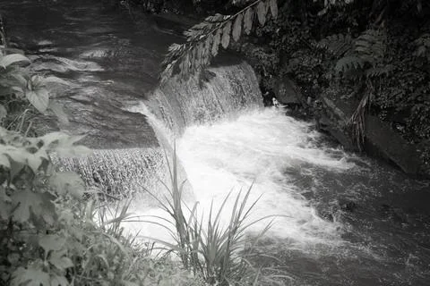 The River Stock Photos