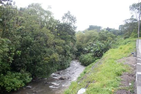 The River Stock Photos