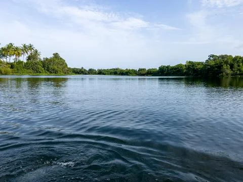 River Stock Photos