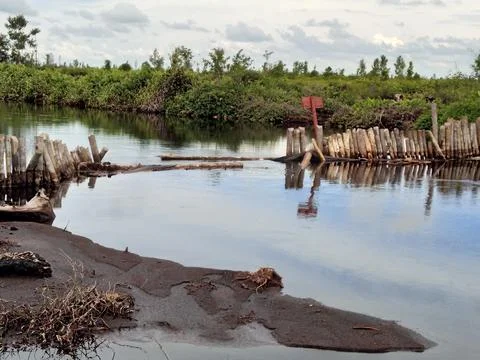In the river Foto stock