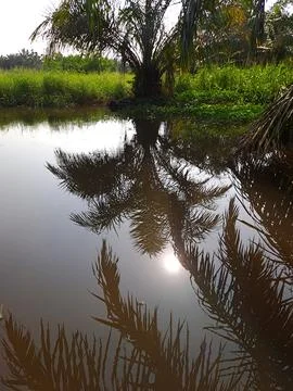 The river Stock Photos