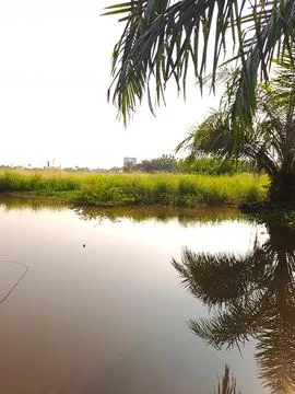 The river Stock Photos