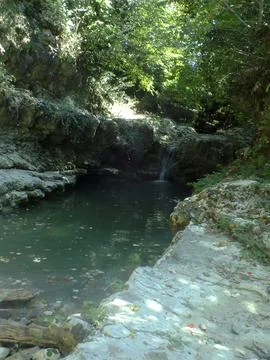 The river Stock Photos