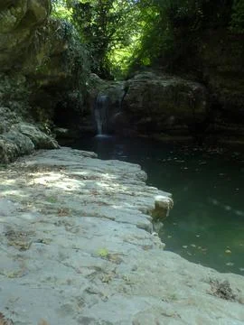 The river Foto stock
