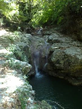 The river Stock Photos
