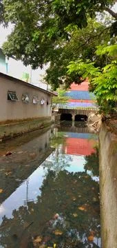 River 库存照片