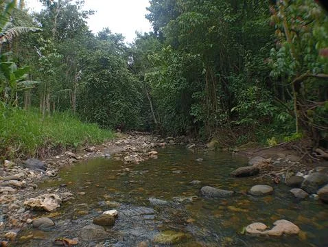 River  photo Stock Photos