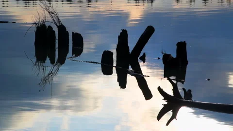 River pilings scenic with log floating past, 4k Stock Footage 232424642