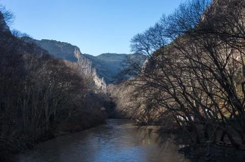 The river Pinios with plane trees on its banks at sunny winter day In the val Stock Photos