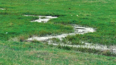 River on plain with green grass Stock Footage 74224520