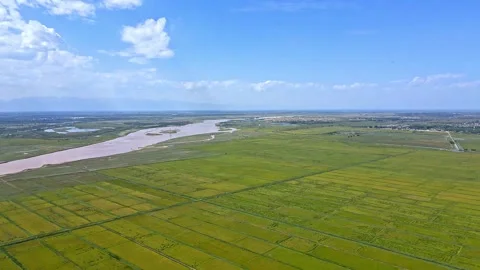 River Plains - Ecological grain producing areas Stock Footage 257987413