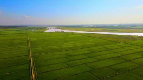 River Plains - Rice Fields Stock Footage 258187892