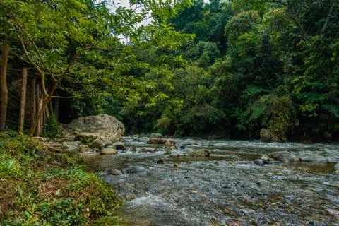 River with plants and rocks Stock Photos