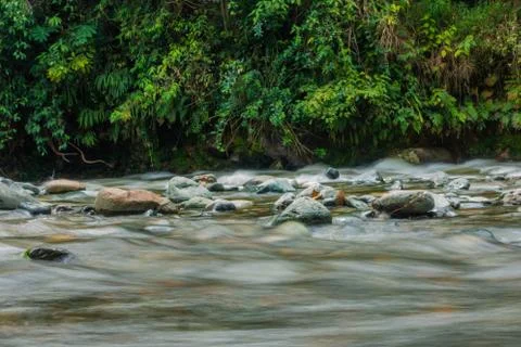 River with plants and rocks Stock Photos