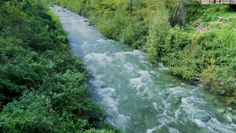 The river Po flows through the woods at Paesana Stock Footage 274506494