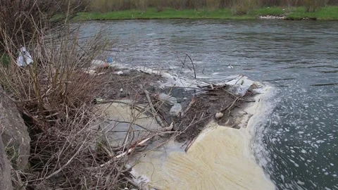 The river is polluted with chemical foam... | Stock Video | Pond5