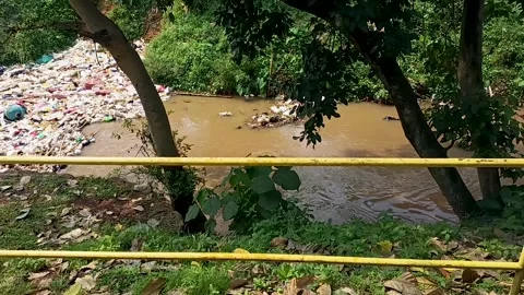 The river is polluted with garbage Stock Footage 309872610