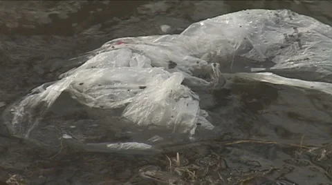 River polluted by Plastic Bag Video stock 1013570