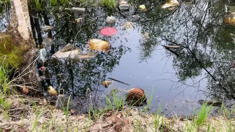 River that is polluted with various garbage and trash, Polluted rivers Stock Footage 194743120