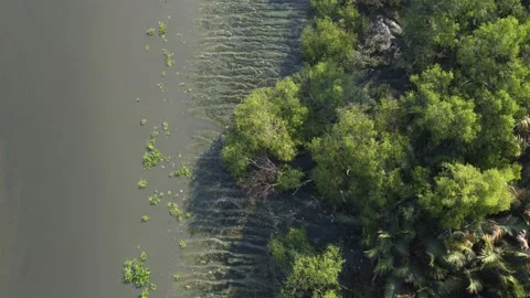 River pollution with dark sand Stock Footage 149208945