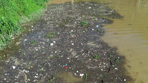 River pollution Stock Footage 111607677