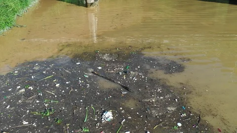 River pollution Stock Footage 111607764