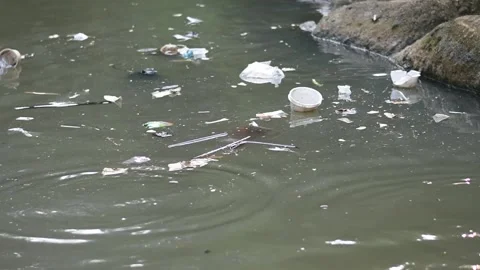 River pollution Stock Footage 243274624
