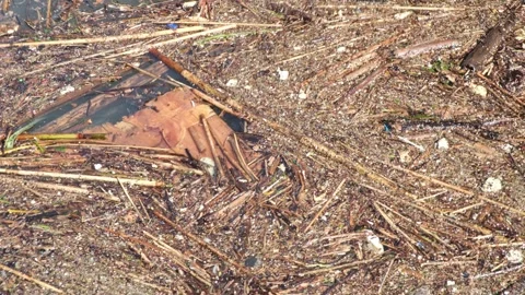 River Pollution Stock Footage 244390747